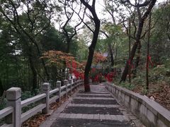 -灵岩山风景区