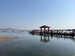 景点-苏州太湖湖滨国家湿地公园