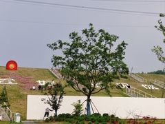 -佛手湖郊野公园