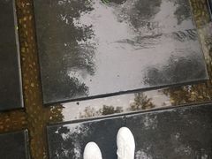 -百脉泉景区