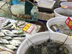 -御唐府海珊瑚主题餐厅