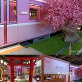 櫻花火車🚞🌸[糖果][爱]