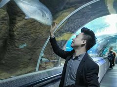 -大连圣亚海洋世界