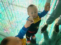 -天津梵高星空艺术馆(天河城旗舰店)
