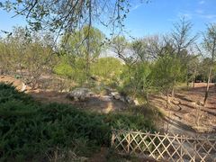 -北京西山国家森林公园