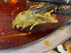-彭大姐老店黄辣丁(新津店)