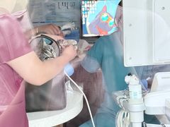 -艾贝尔宠物医院·24H转诊中心·肿瘤猫专科(江宁双龙店)