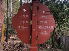 -梧桐山风景名胜区