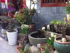 iphone_upload_pic-古韵餐厅(湖畔大学店)