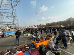 -中环花鸟鱼虫市场