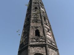 -上海佘山国家森林公园天马山园