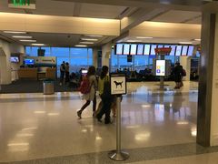 -达拉斯 沃斯堡国际机场