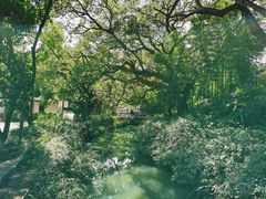 -古堰画乡景区