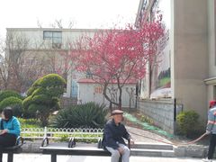 -沪上阿姨鲜果茶(华新大街店)