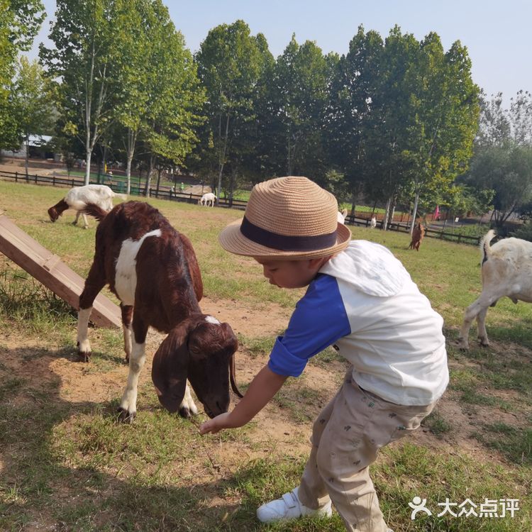 实用tips：江宁美丽乡村