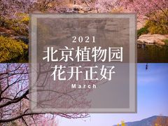 -国家植物园