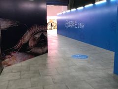 -盒马X会员店(王府井奥莱UP TOWN店)