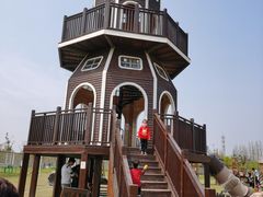 -上海长兴岛郊野公园