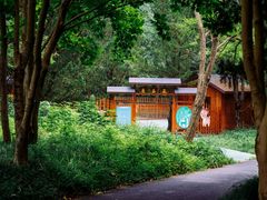 -东平国家森林公园