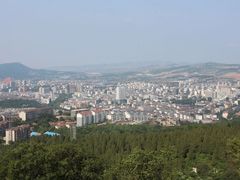 -原山国家森林公园