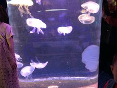 -福州罗源湾海洋世界旅游区