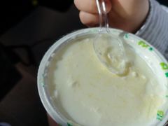 -德禄酸奶(莫家街店)