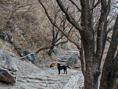 -阳台山自然风景区