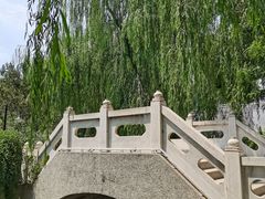 -黄村公园
