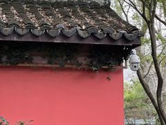 -西湖天地