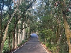 -白云山风景名胜区
