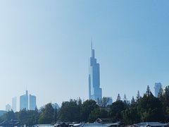 -紫峰大厦