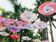 -华南国家植物园-售票处