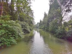 -桤木河湿地公园