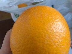 橙子-鲜丰水果(九洲新世界花苑店)