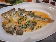 葱油蒸黄花鱼-1937青岛老味道·海肠捞饭·青岛菜(大鲍岛栈桥店)