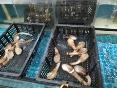 -王记新汕头肠粉炖汤