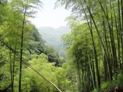 -藏龙百瀑风景区