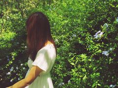 -墨尔本皇家植物园