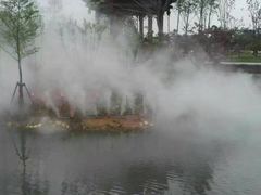 -八大山人梅湖景区