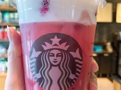 火龙果番石榴茶云乌龙DOT-星巴克(苏州昆山花桥游站店)