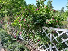 -昆山城市生态森林公园