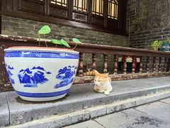 -万寿八仙宫