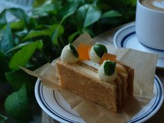 -三里屯东五街银杏大道