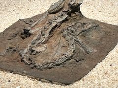 -世界恐龙谷景区