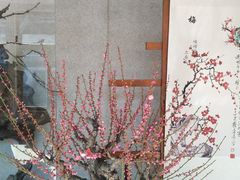 -无锡梅园公园
