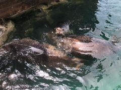 -华夏文旅海洋公园