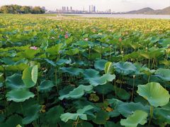 -云龙湖旅游景区