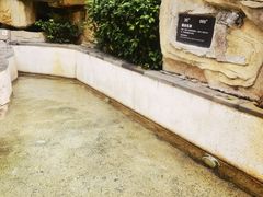 -海口观澜湖火山温泉谷