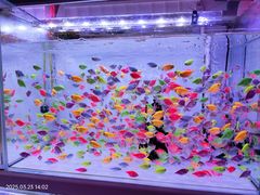 -香炉礁家具市场