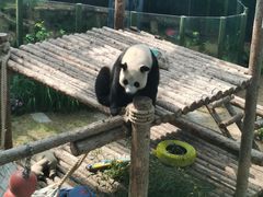 -大连森林动物园